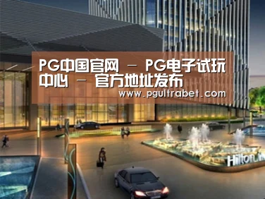 案例展示二(图1)
