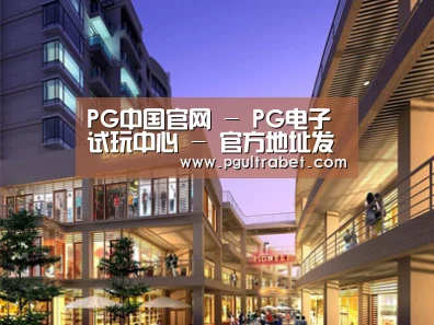 案例展示一(图1)