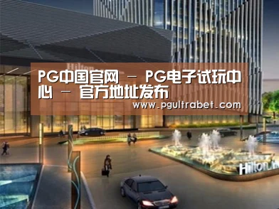 案例展示二