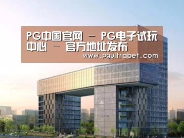 案例展示四