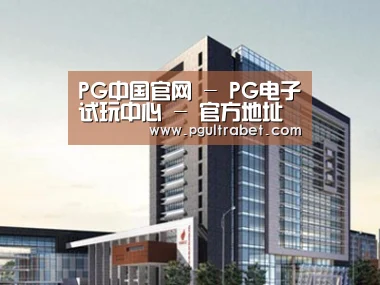 案例展示七