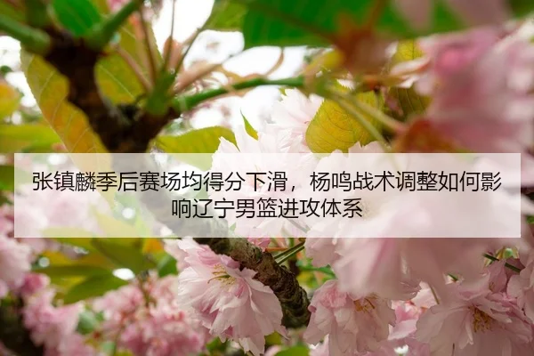 张镇麟季后赛场均得分下滑，杨鸣战术调整如何影响辽宁男篮进攻体系
